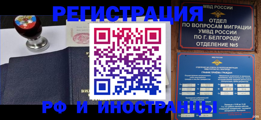 временная регистрация поиск в Мончегорске